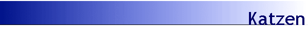 Katzen