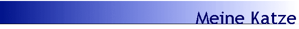 Meine Katze
