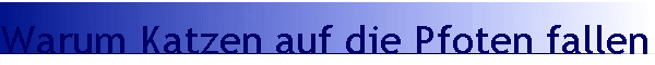 Warum Katzen auf die Pfoten fallen